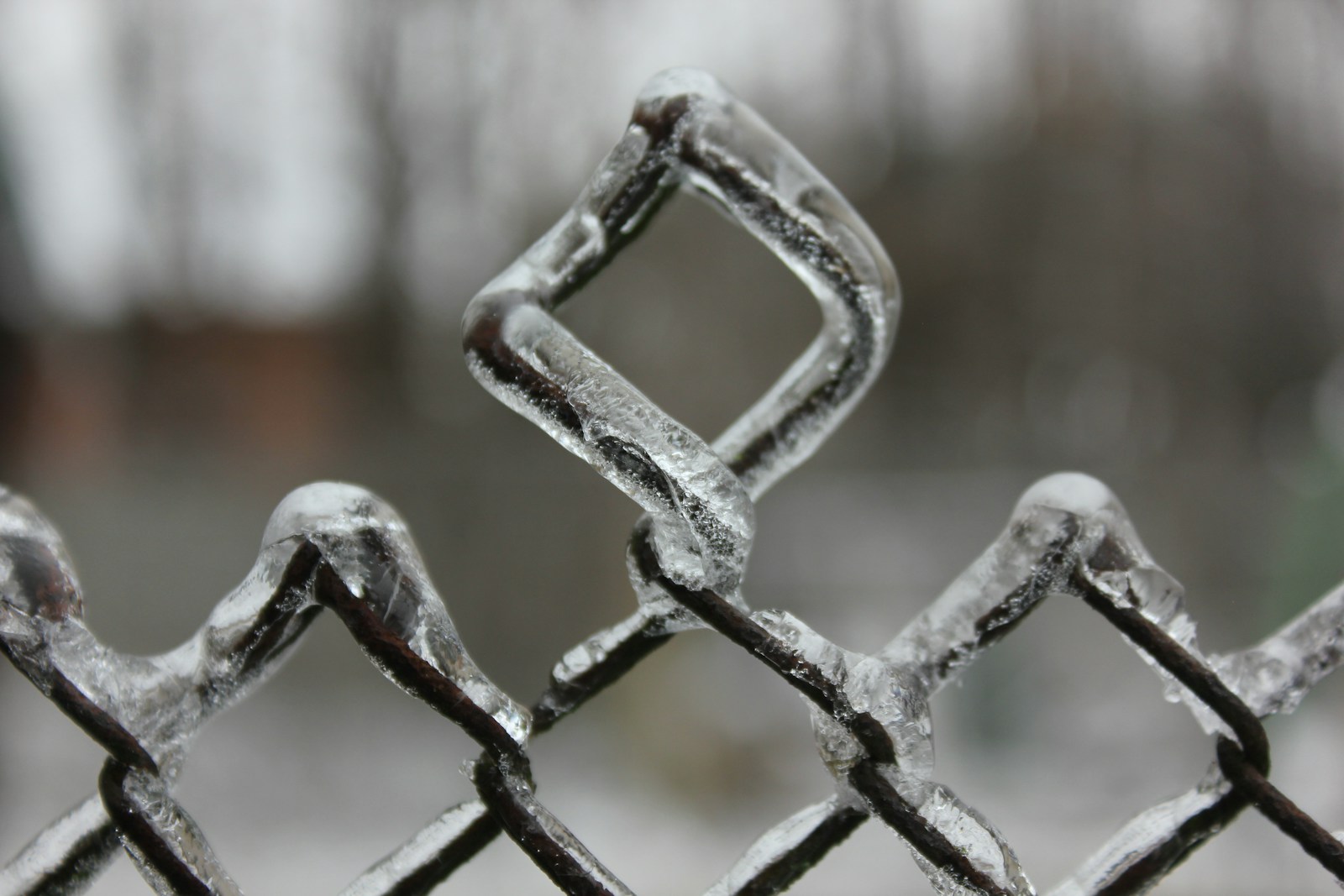 Mastering the Art of Image Cropping: Refine Your Photos with Ease and Style