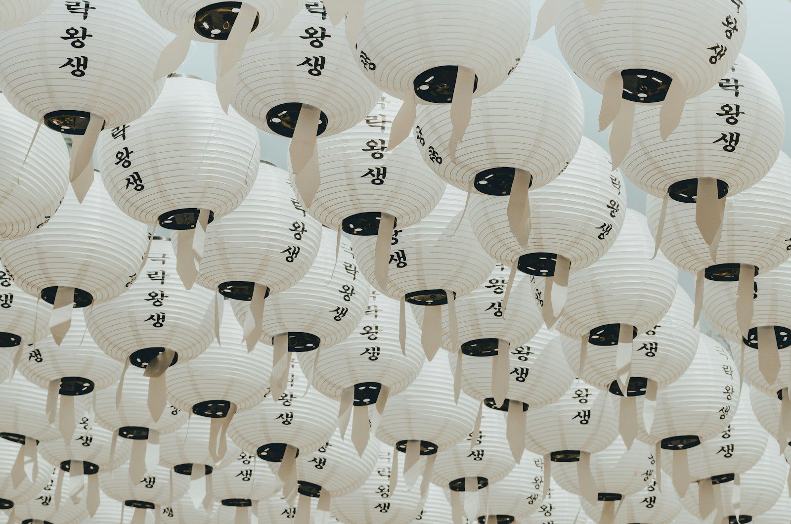South Korean Startups Are Quietly Shaping Asia’s Clean-Tech Transition
